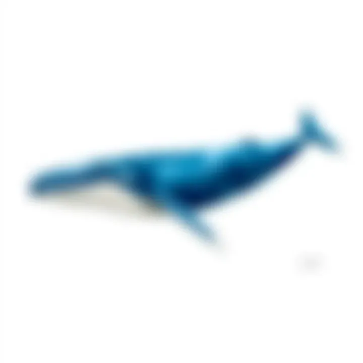 Magnificent The Color of Blue Whales