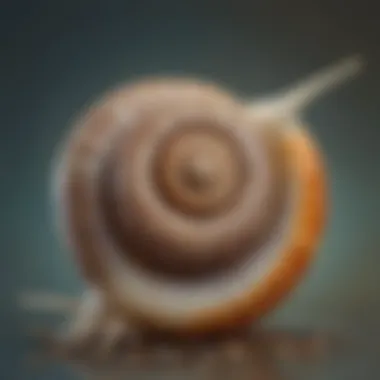 Ethereal Gastropod Expression Abstract snail art interpretation