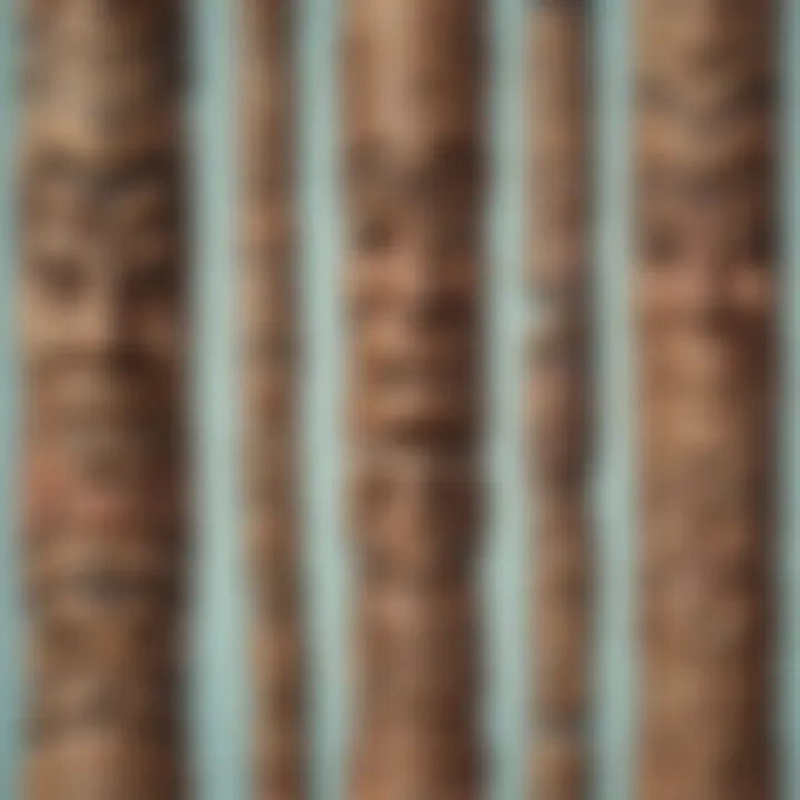 Traditional Alaska Native totem poles
