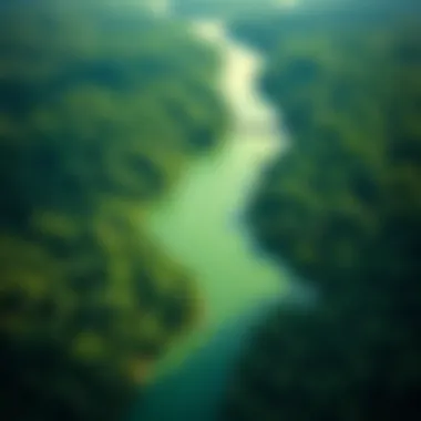 Aerial view of the Amazon River winding through the lush rainforest