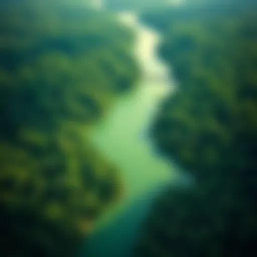 Aerial view of the Amazon River winding through the lush rainforest