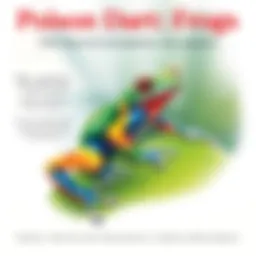 A vibrant poison dart frog perched on a leaf, showcasing its bright colors