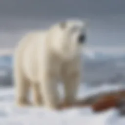 Arctic landscape with polar bear