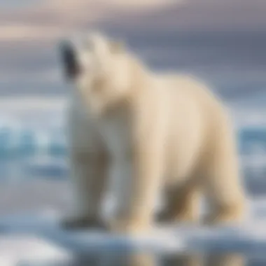 Arctic Majesty: Polar Bear in its Element Majestic polar bear in Arctic landscape