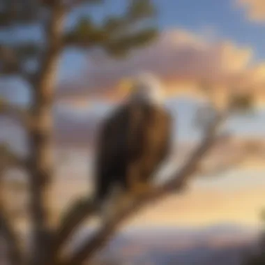 Majestic Bald Eagle in Its Natural Habitat A majestic bald eagle perched on a tree branch overlooking a vast landscape