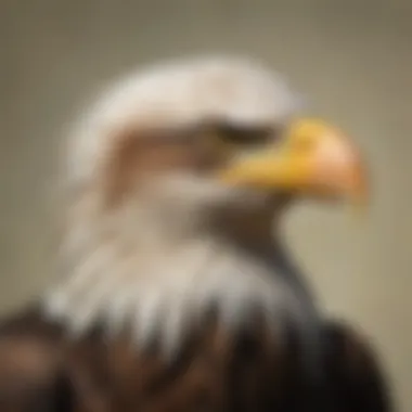 Bald Eagle: A Symbol of American Freedom An artistic representation of a bald eagle symbolizing American freedom