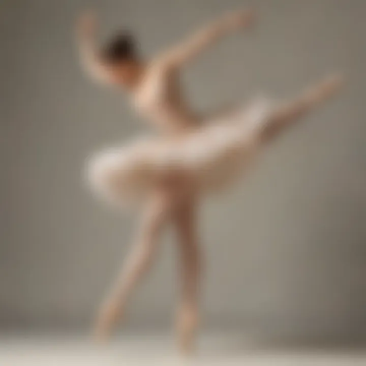 Ballet dancer showcasing impeccable développé