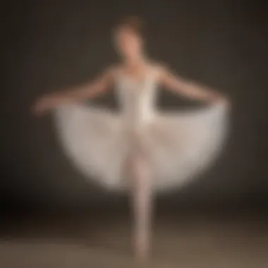 Ballet dancer performing a perfect grand plié