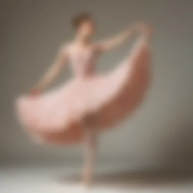 Fluidity and Grace: The Plié Movement Ballet Dancer Performing a Plié
