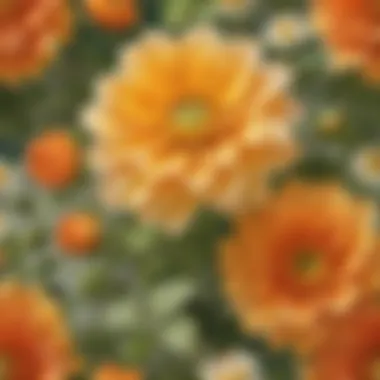 Sun-Kissed Floral Elegance Exquisite Blossom in the Sunlight