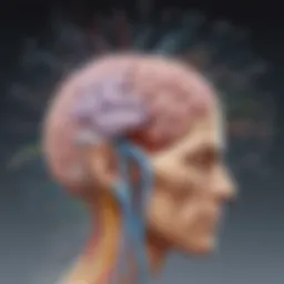 Illustration depicting brain connections forming with flashcard usage