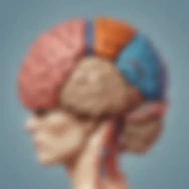 Cognitive Strategies for Emotion Regulation An illustration of a brain with emotion regulation techniques