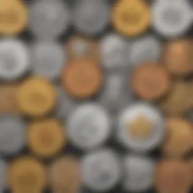 Exploring the Diverse Canadian Coin Collection Canadian Coin Collection Showcase