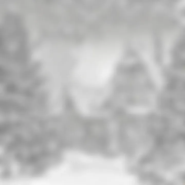 Vibrant Christmas-themed coloring page featuring festive elements for children to fill with colors.