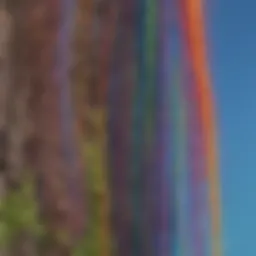 Vivid display of capillary action in a colorful experiment.