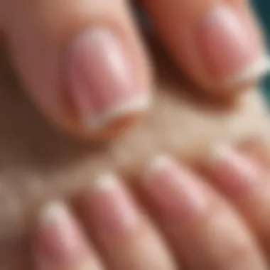 Close-Up of Bunny Nails A close-up of a bunny paw, focusing on the nails that require clipping.
