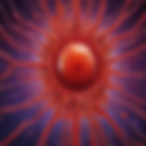Illustration of blood plasma showcasing its role as a liquid matrix