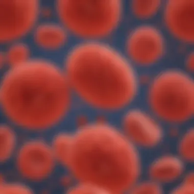Diagram highlighting the structure and function of red blood cells