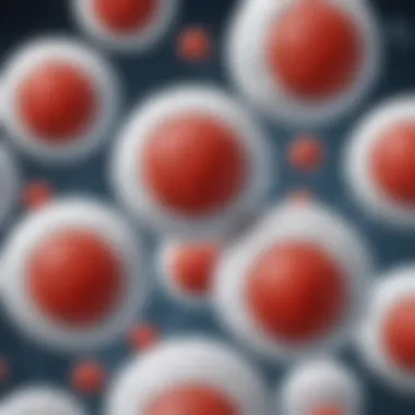Visual representation of white blood cells and their immune functions