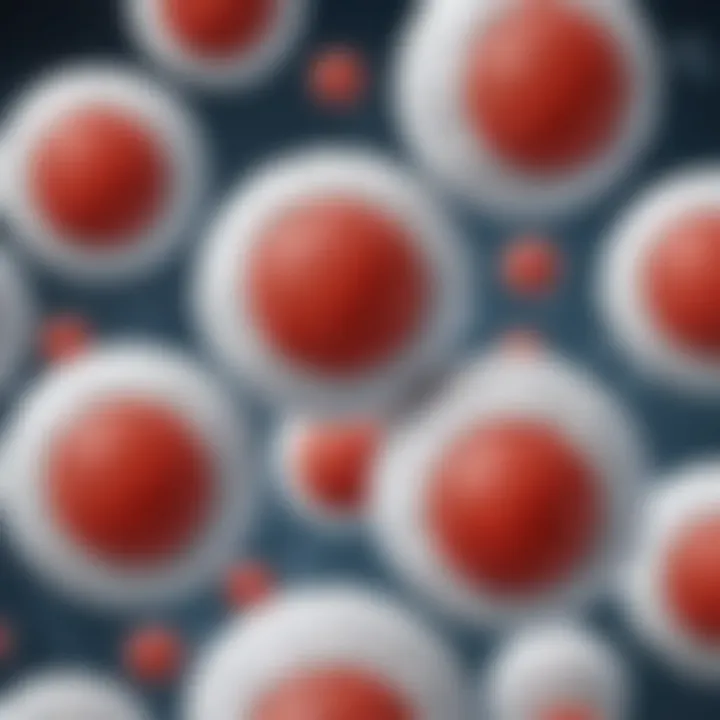 Visual representation of white blood cells and their immune functions