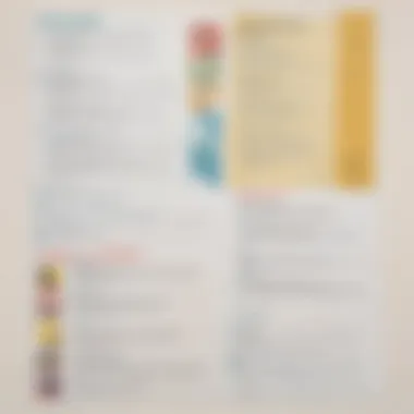 Successful CV examples tailored for French employers