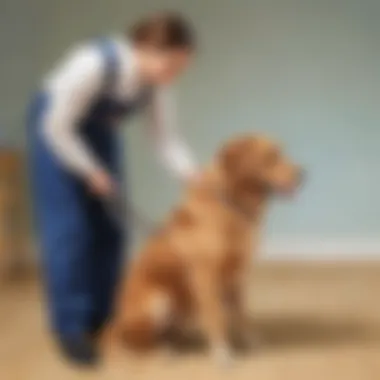 Training Techniques for Well-Behaved Dogs Dog undergoing training with a professional