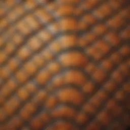 A close-up view of a turtle's shell, showcasing its unique patterns and textures.