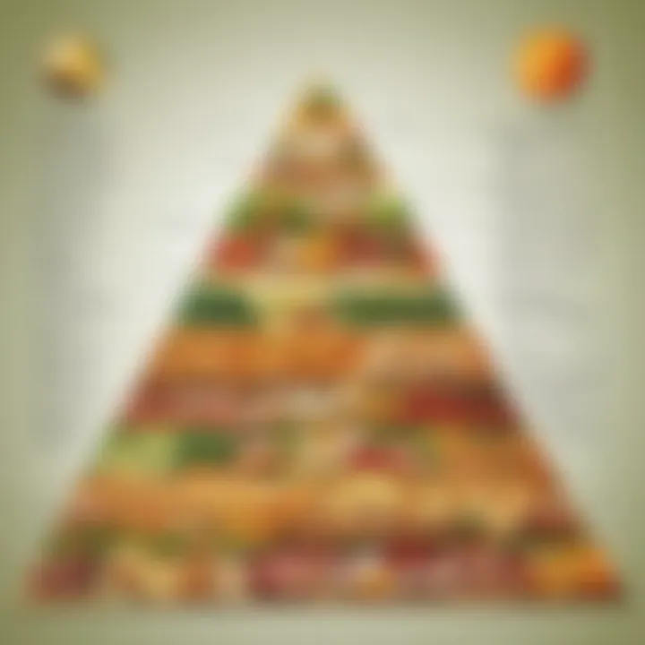 Contemporary Relevance of the Food Pyramid
