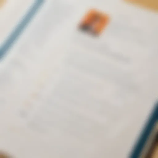 Crafted CV on elegant paper