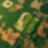 Aerial Perspective of Deforestation Aerial view of deforested land with patches of remaining forest