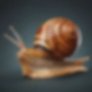 Precision in Slow Motion Detailed snail art close-up