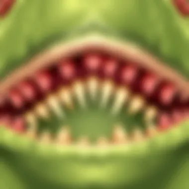 Adapted Teeth of Stegosaurus Close-up of Stegosaurus teeth adapted for herbivory