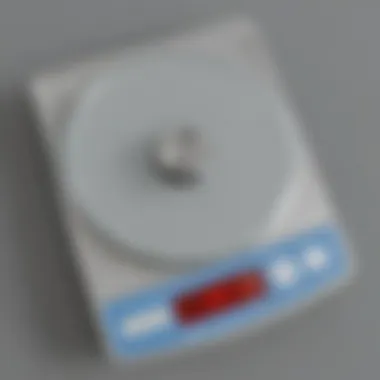 Digital Scale Display