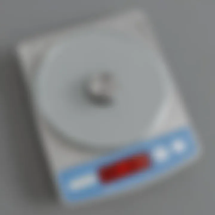 Digital Scale Display