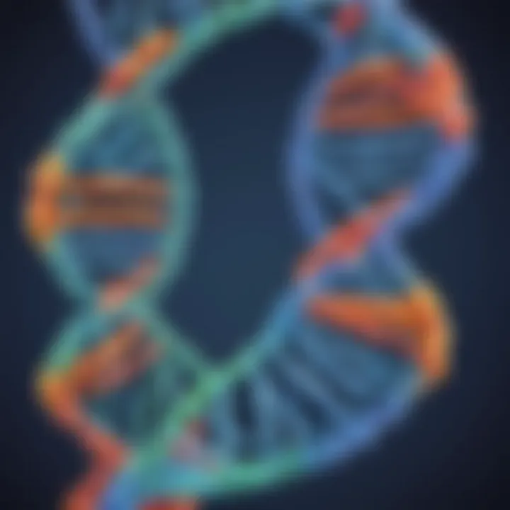 DNA polymerase synthesizing new DNA strands