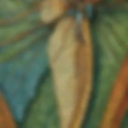 Exquisite Dragonfly Wing Detail