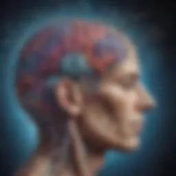 Dreaming Brain