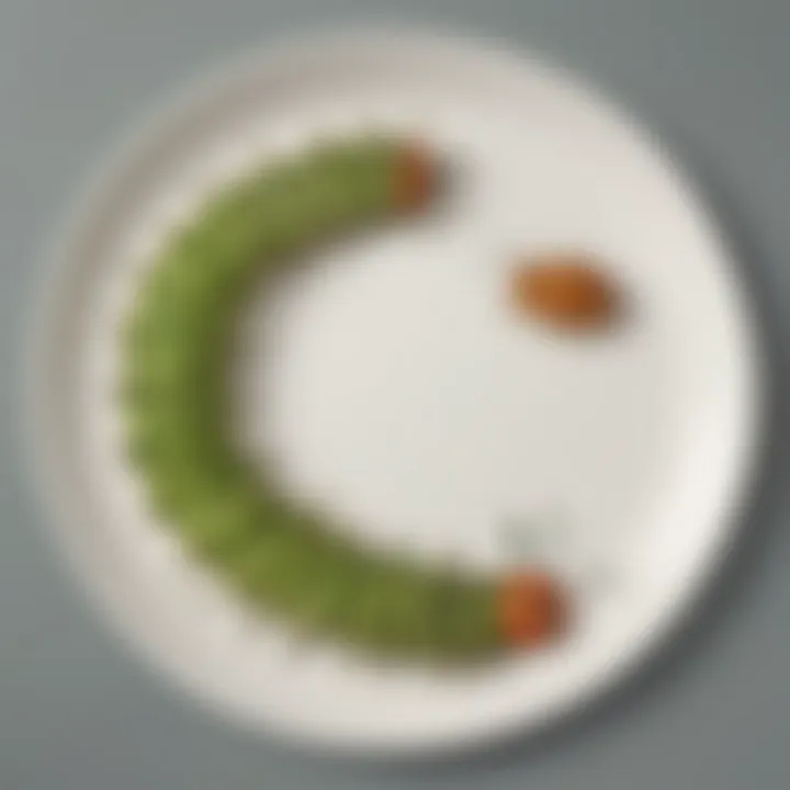 Educational Hungry Caterpillar Plate