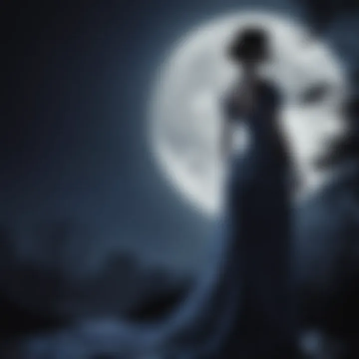 Elegant silhouette of a dress in moonlight