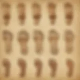 Ancestor's Footprints