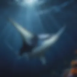 Majestic Manta Ray gliding through the ocean depths