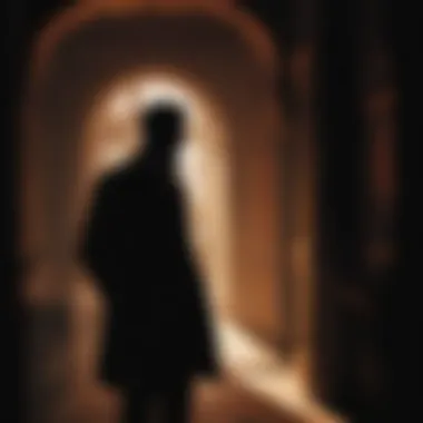 Intriguing Character Reveals Mysterious character silhouette in the shadows