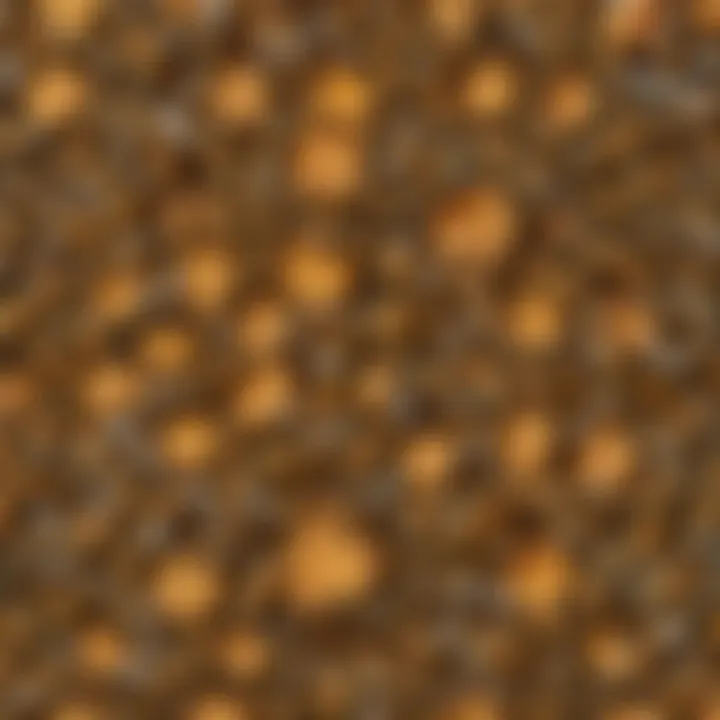 Intricate Beehive Architecture with Worker Bees