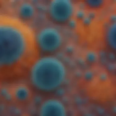 Microscopic view of filtered particles