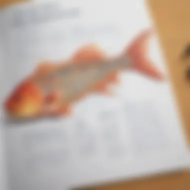 Creating an Effective Fishbone Diagram Creating an effective fishbone diagram