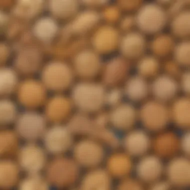 Wholesome Grain Selection