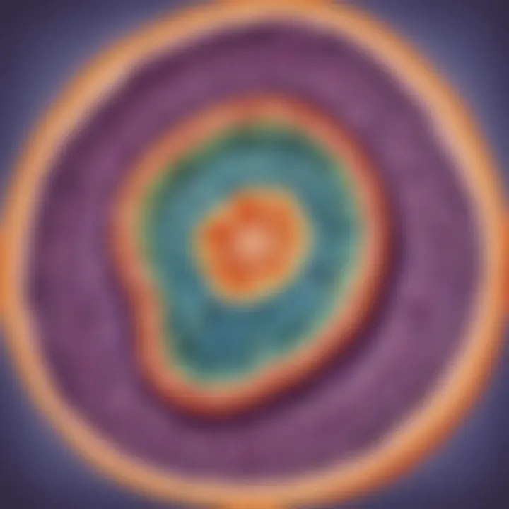 Cross-section of the mitochondria in an animal cell showing energy production