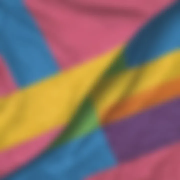 Artistic portrayal of the Pansexual Pride Flag history