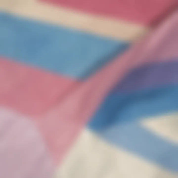 Visual representation of the Transgender Pride Flag significance