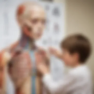 Interactive Learning Experience Child interacting with anatomy poster during a learning session